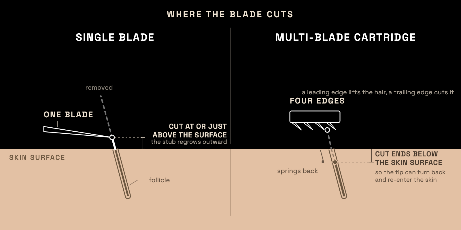 Cross-section diagram comparing where each razor cuts a hair: a single blade severs the hair at or just above the skin surface, leaving a stub that regrows outward, while a multi-blade cartridge lifts the hair with a leading edge so a trailing edge cuts it, and the tip springs back to end below the skin surface
